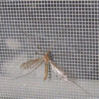 Protuprovalna mreža